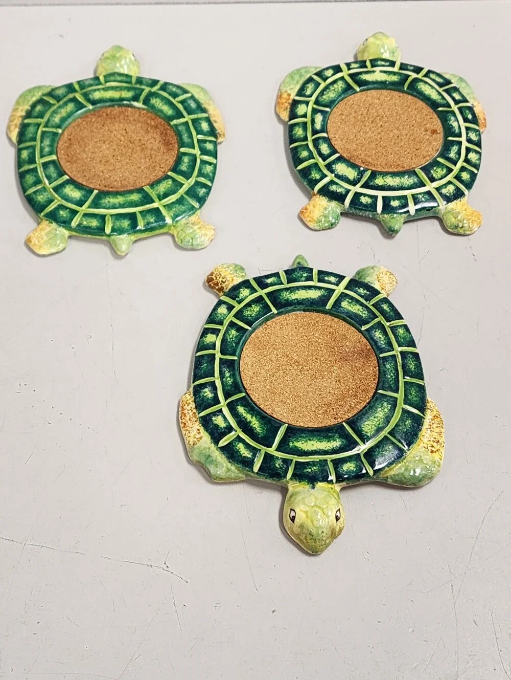 Turtle Coasters